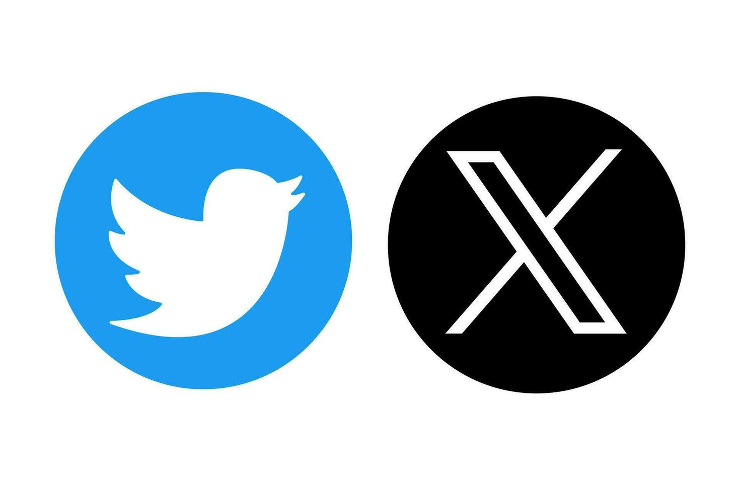 The Importance of High-Quality Customers for TikTok's Overseas Marketing