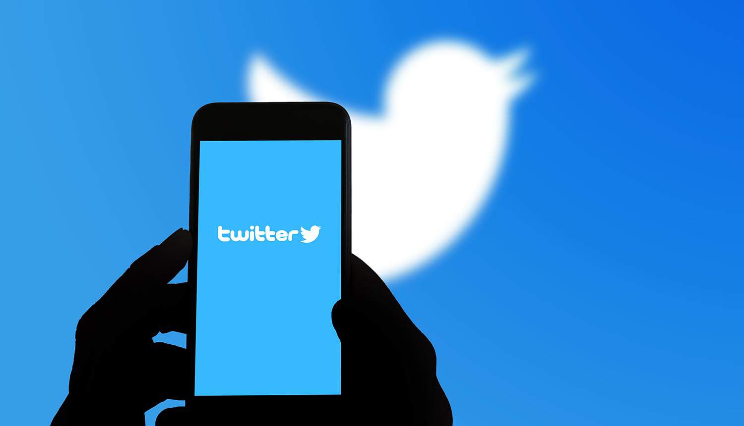 Twitter follower growth