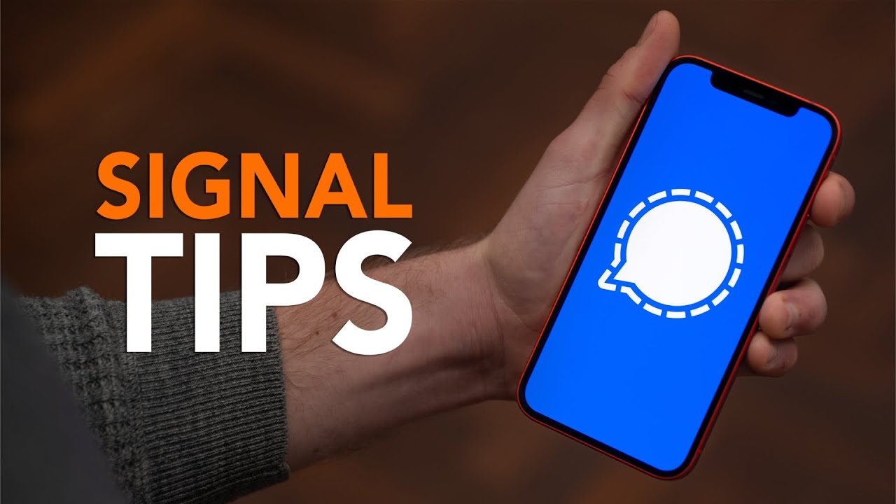 The impact of the Wish shopping app on consumer shopping habits