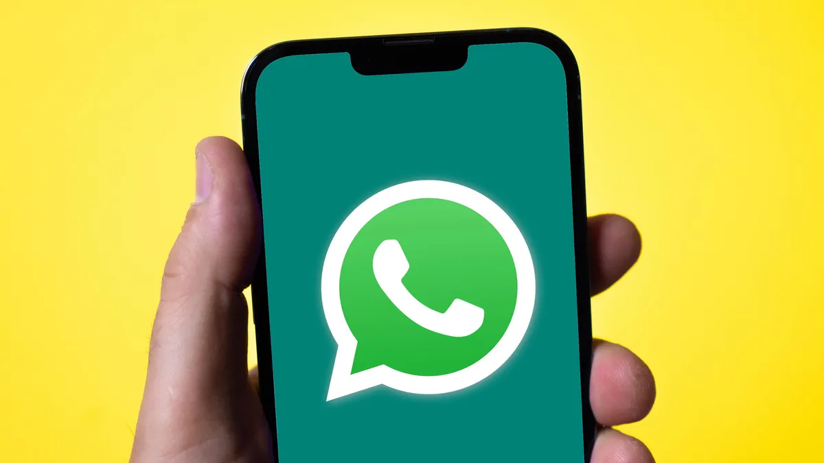 What if a TG username can't be found? Checking phone numbers and IDs can help identify potential followers.