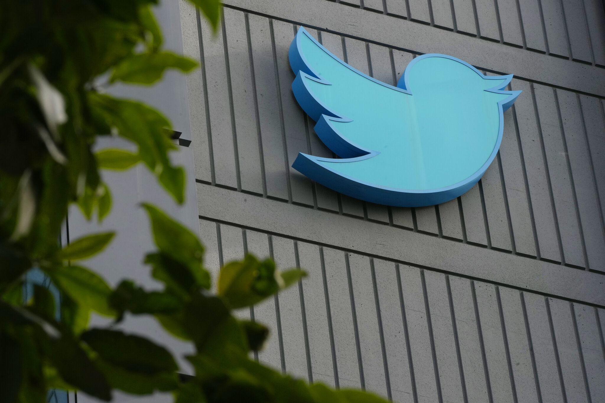 How e-commerce can find new customers through number activation on social media platforms.