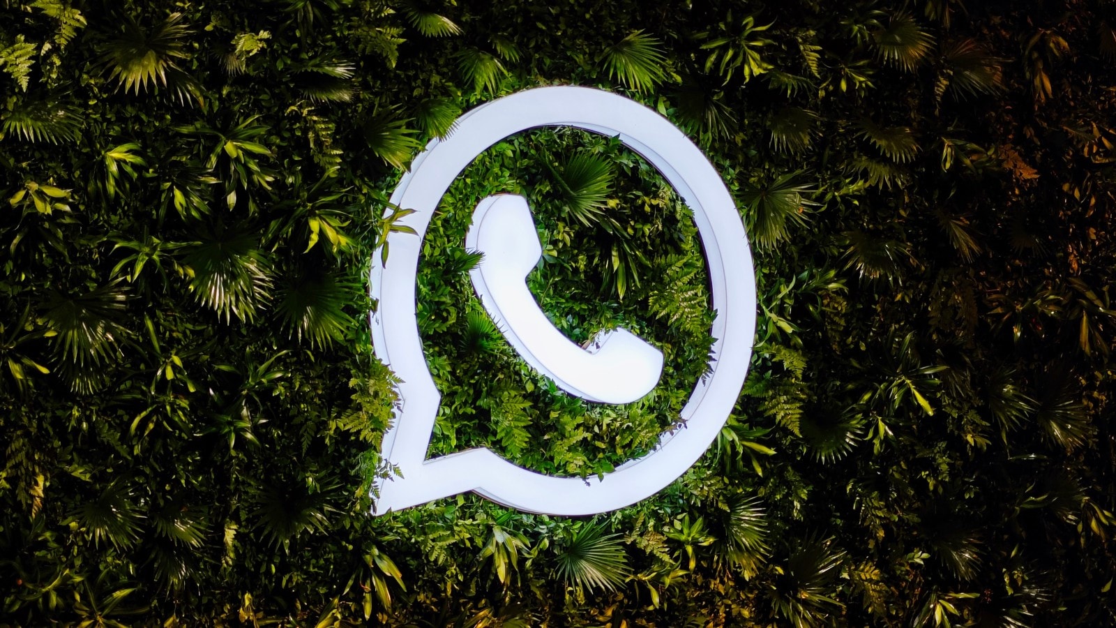 Tips for Acquiring Effective User Data: How to Use Instagram Category Data