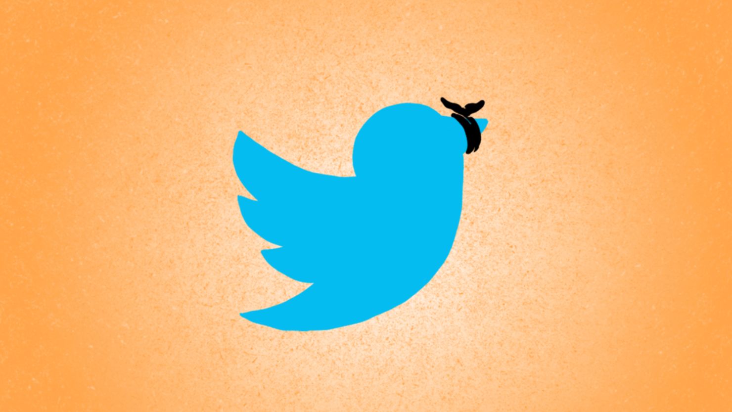 Twitter trending topics: How can I quickly find content that interests me? Skype video call tips: Improve call quality.